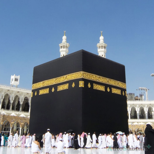 Paket Tour and Travel serta Layanan Umrah dan Haji bersama PT. Nurani Insan Azkia